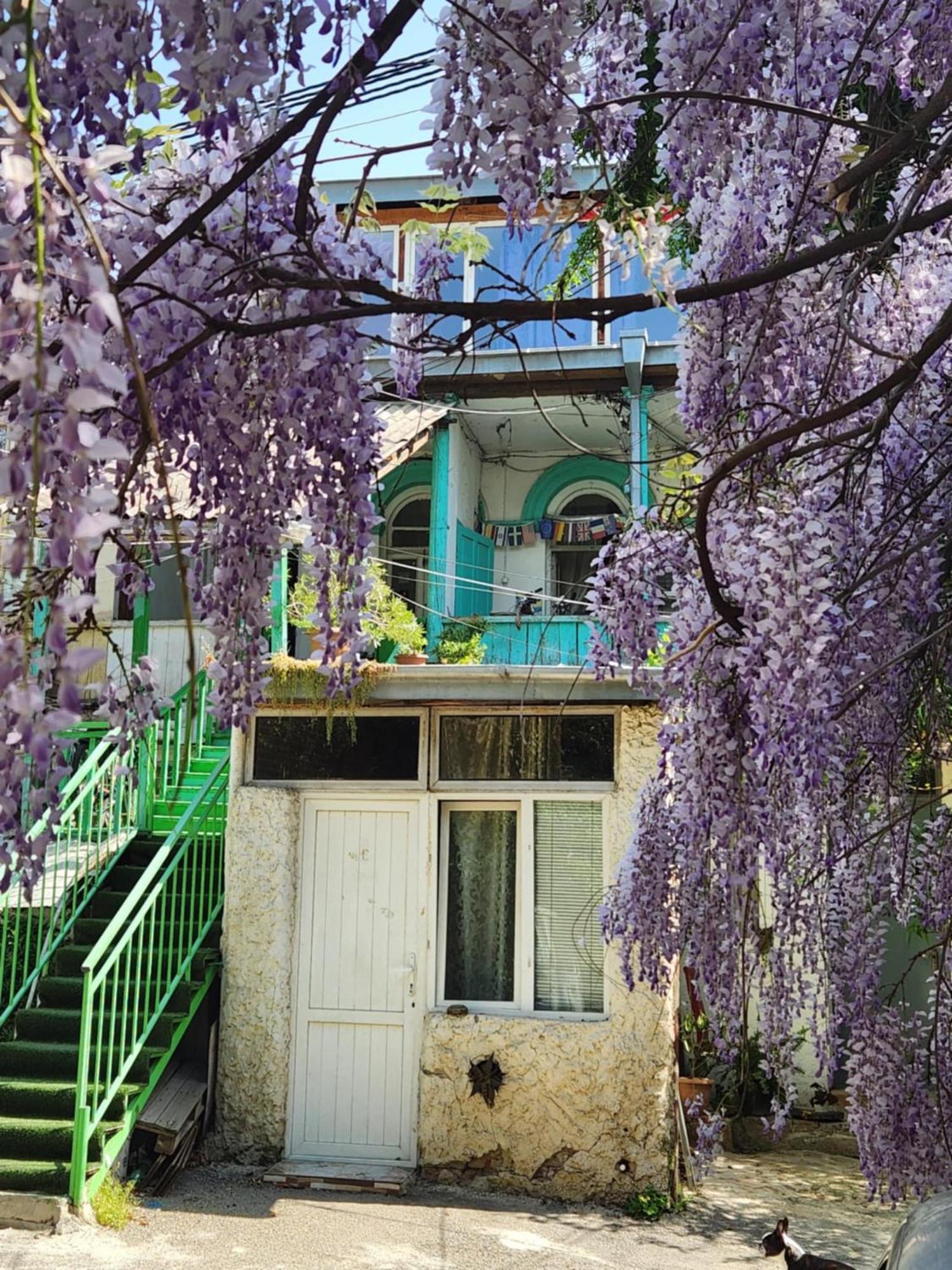 Green Stairs Guest House Tiflis Exterior foto